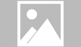 吃瓜神器网红,引领潮流的美食新宠