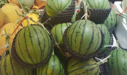 吃瓜网颜色,揭秘网络世界多彩生活